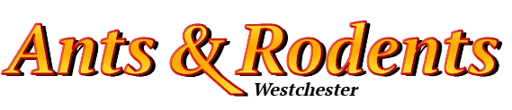 Westchester Ant Exterminator & Rodent Control Company Logo